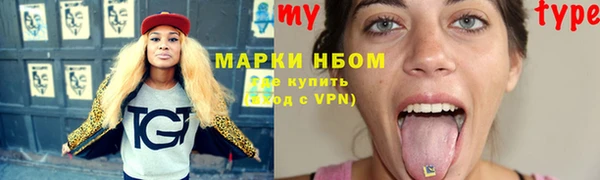 гидропоника Бородино