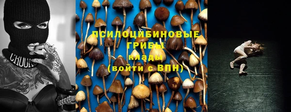 гидропоника Бородино