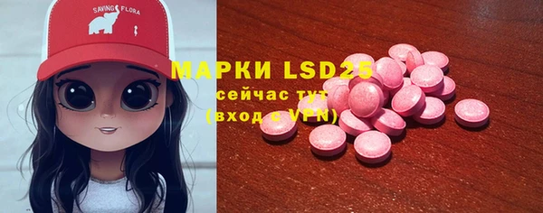 гидропоника Бородино